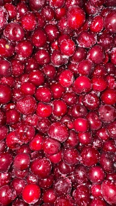 Продам вишню замороженную свежий урожай.