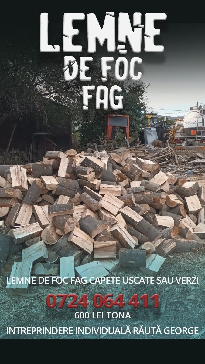 Lemne de foc fag capete uscate sau verzi 600.lei tona