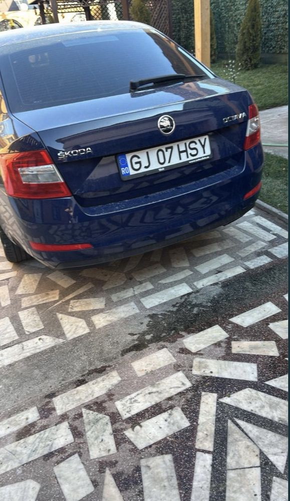 Skoda Octavia 2015 luna a 9 a