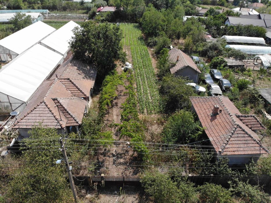 Teren in Com. Mârzănești, Sat Cernetu, 2000 mp 12km de Alexandria