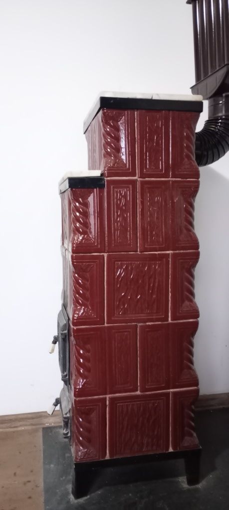 Sobe teracota de un an