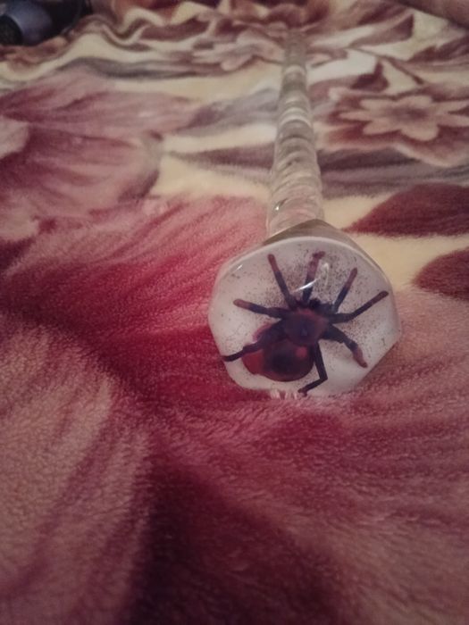 Трость из плекса