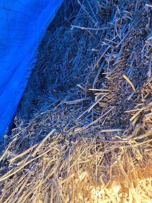 Vand baloți de lucernă