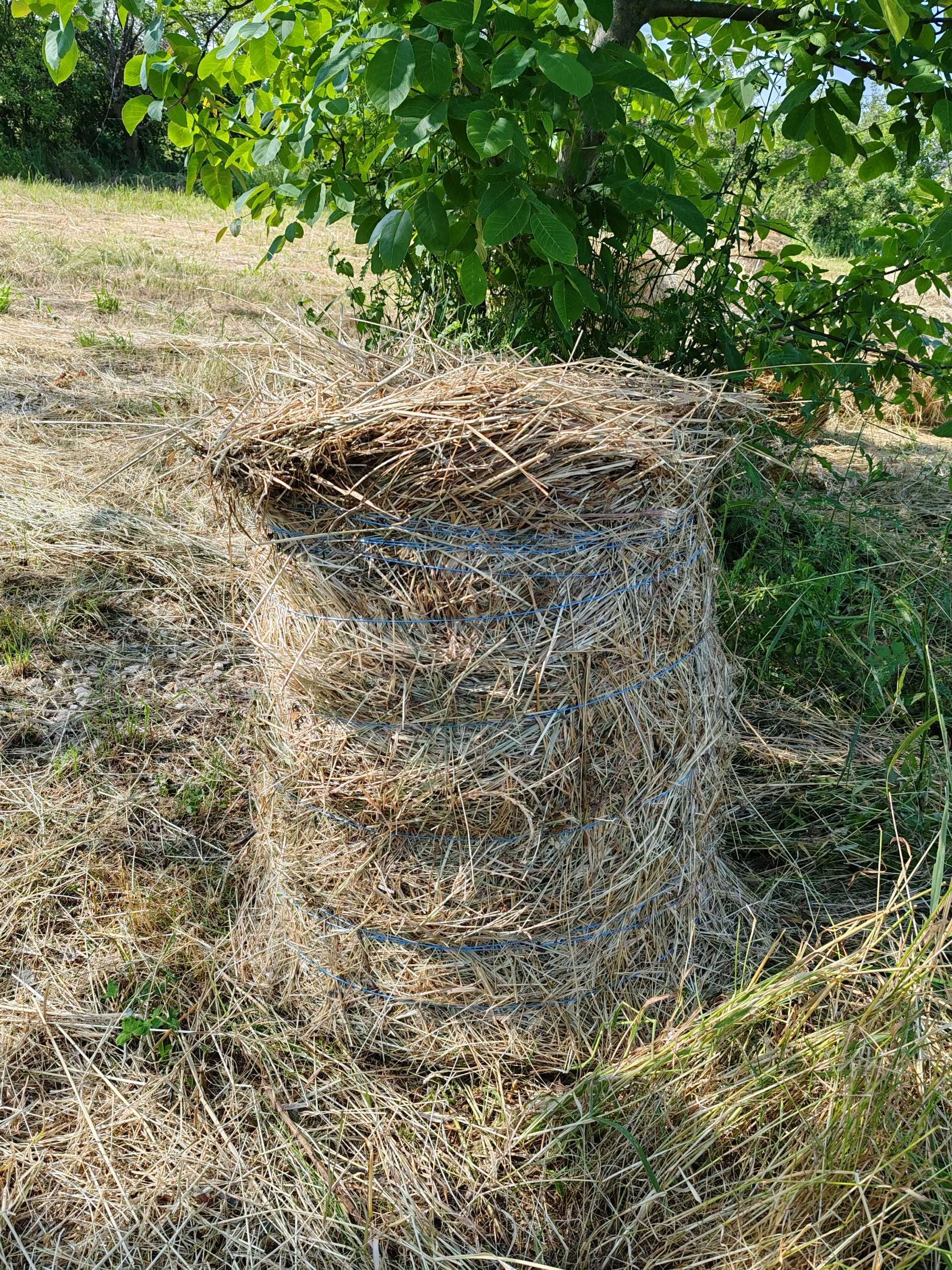 Vând baloți de fân