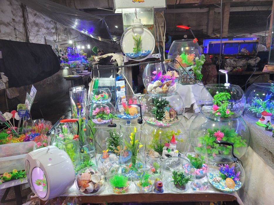 Круглые Аквариумы