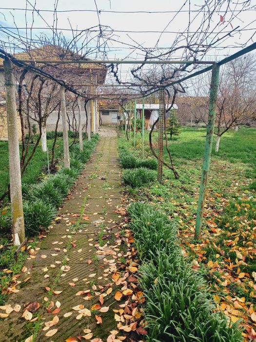 Къща в град Плиска