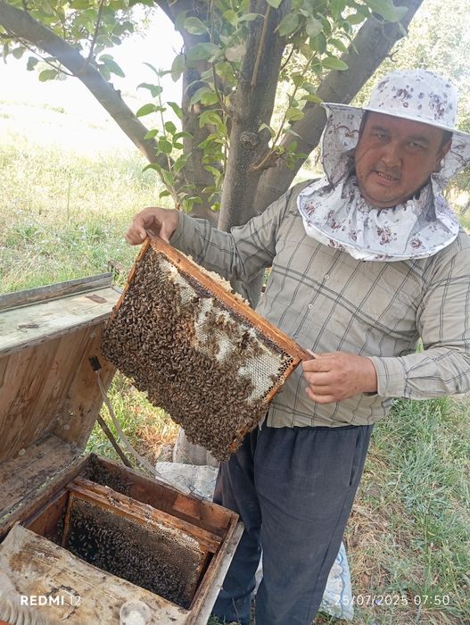 Toza asal mahsulotlari