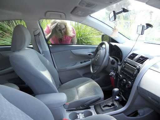 Deblocari usi metalice  - termopan . Deblocari auto ! Non stop!