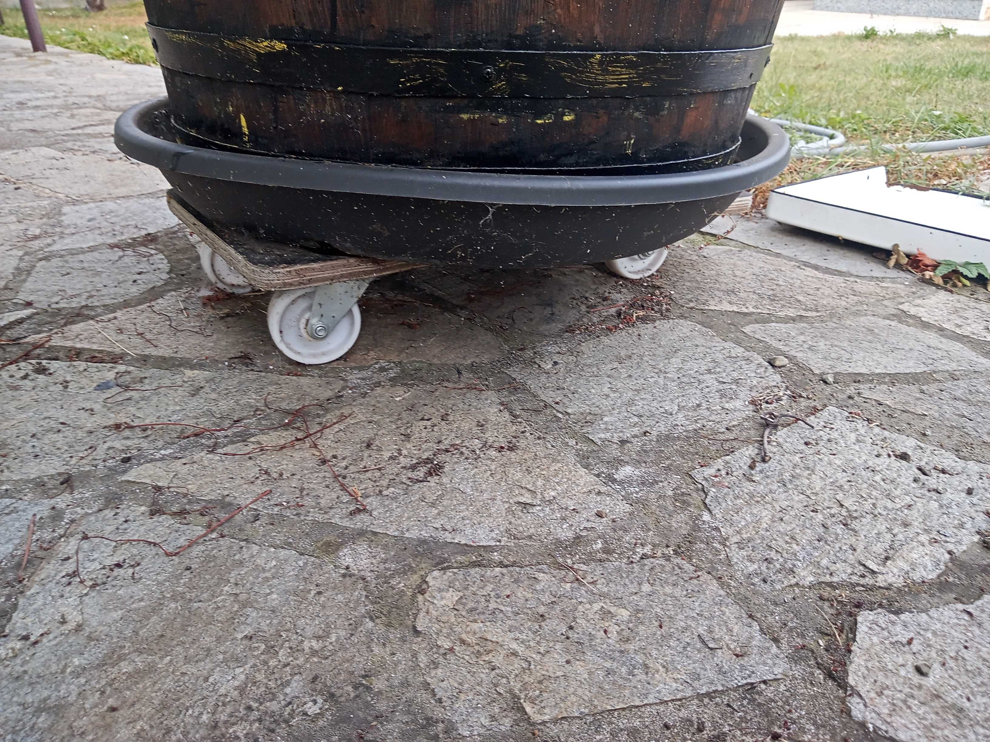 Палма засята в бъчва.