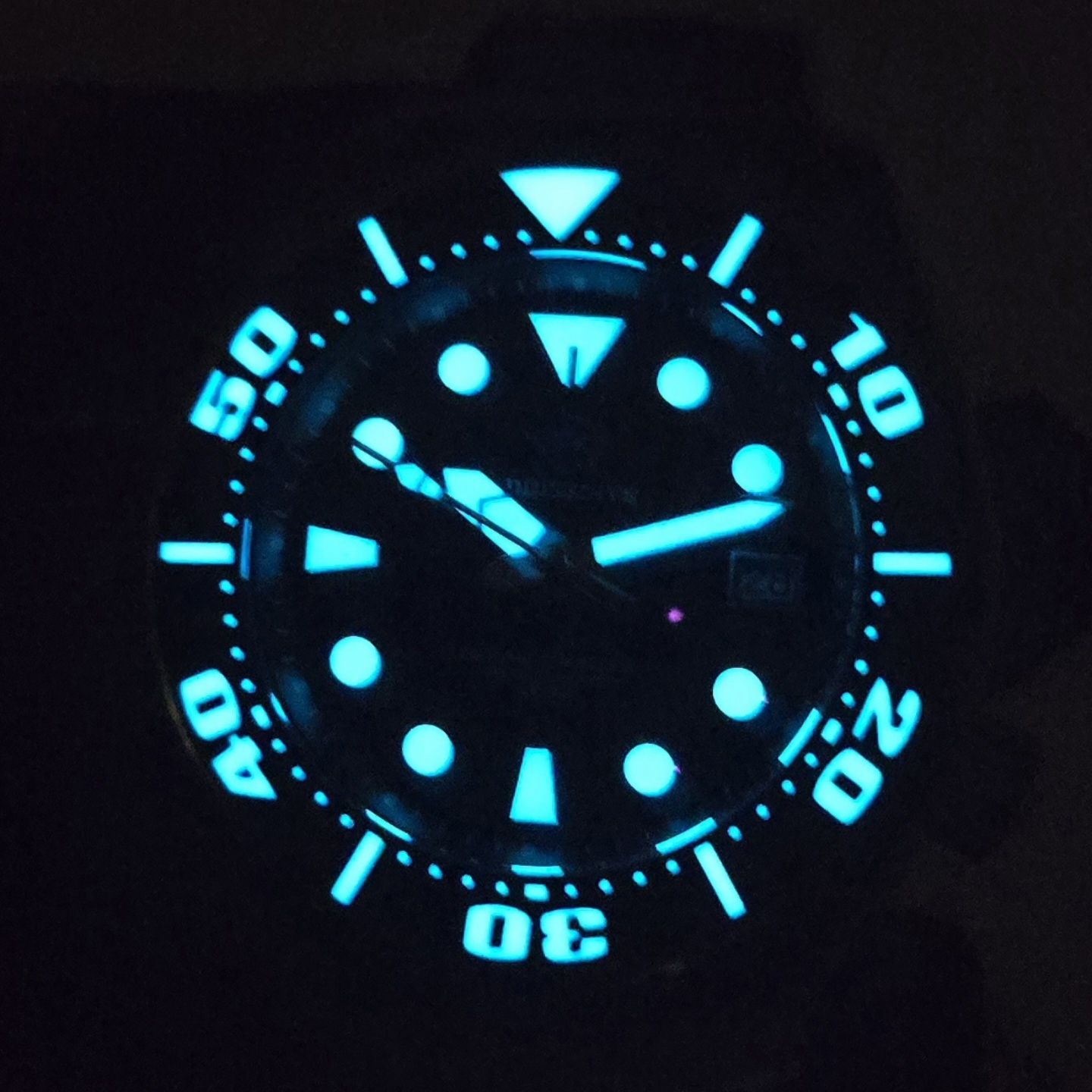 Seiko diver 200 m nh35a super lume bgw9 /tuna/homage Addiesdive