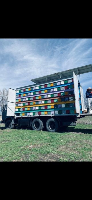 Камаз пчелокамаз