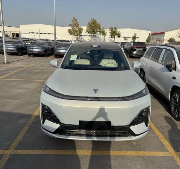 Changan depal S09 silver plus