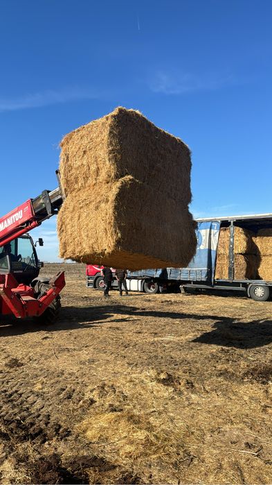Vand baloti dreptunghiulari de fan