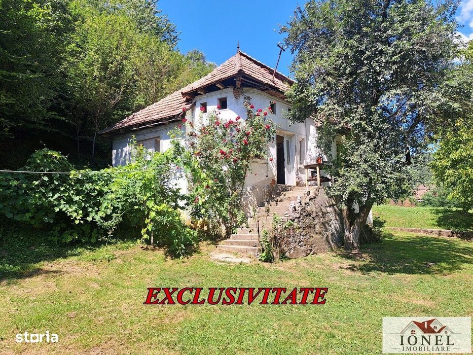 Casa de vanzare in zona Vintu de Jos cu 8392 mp teren