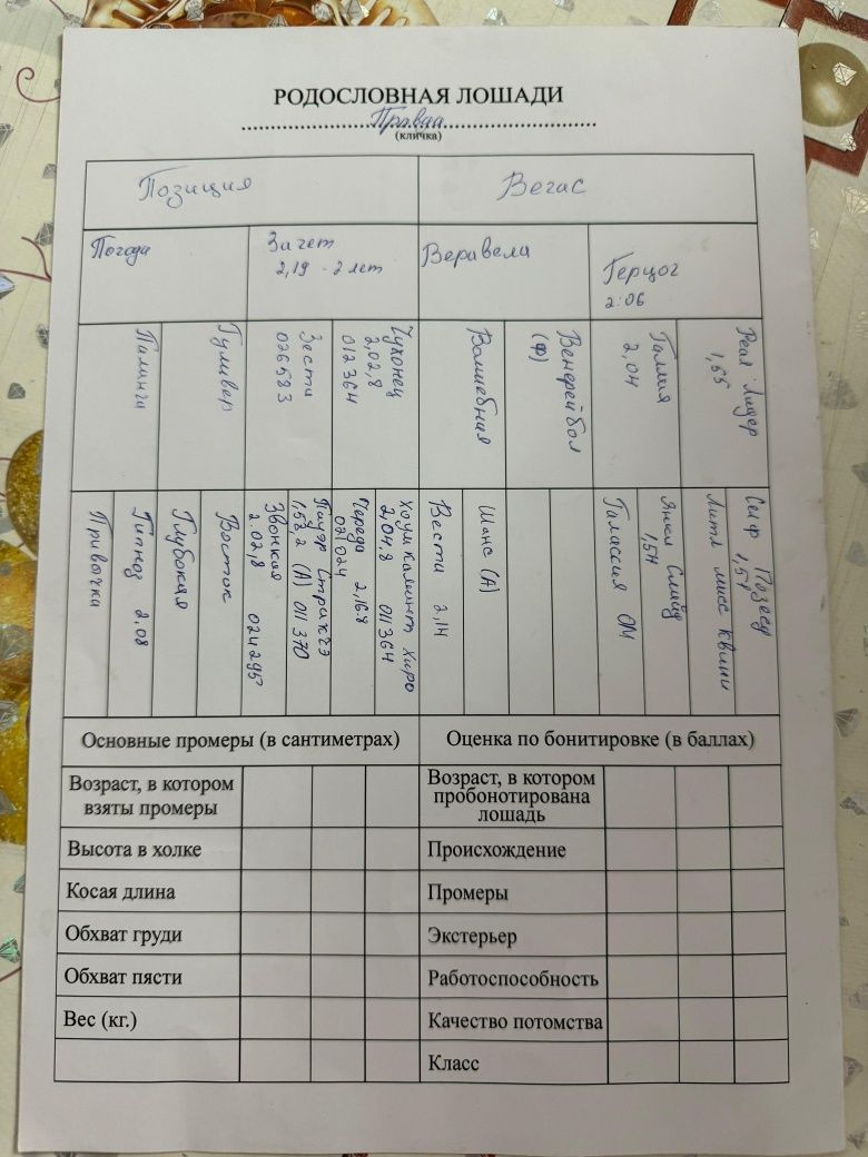 Продам кобылку русско рысистую
