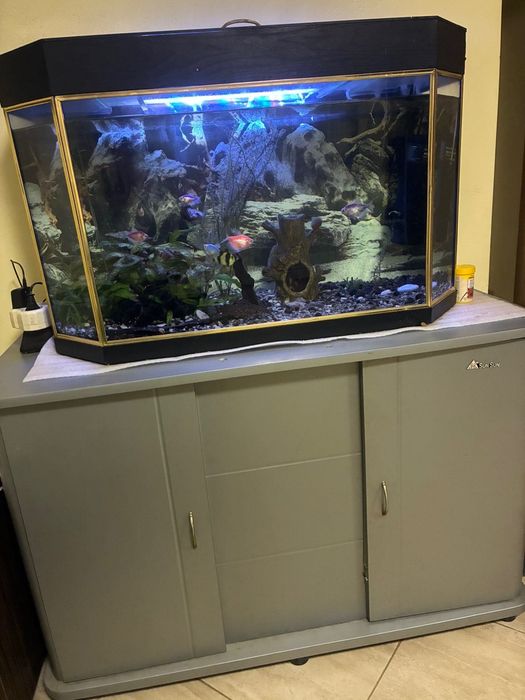 Оборудван аквариум 110 литра