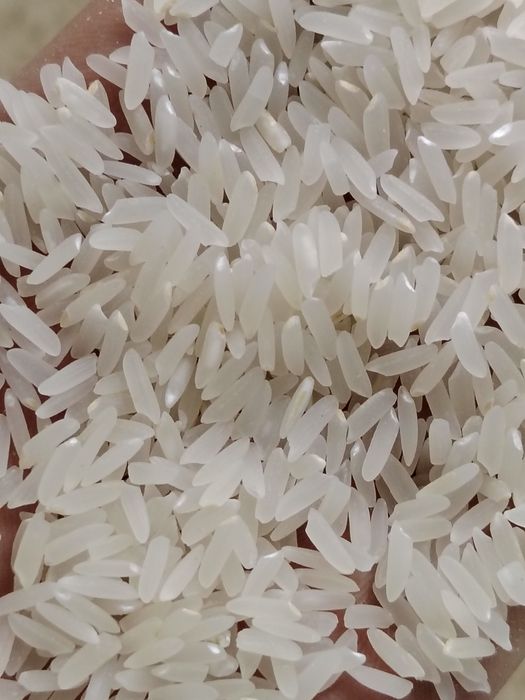 Лазер күріш бар выши сорт денесі қатты нағыз палауға арналған