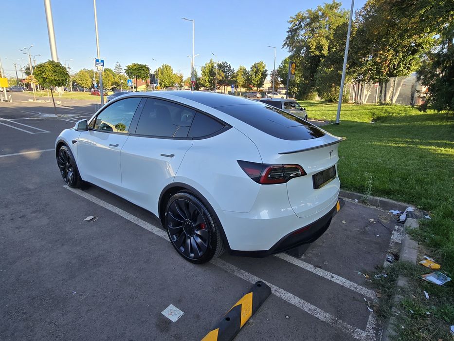 Tesla Y performers