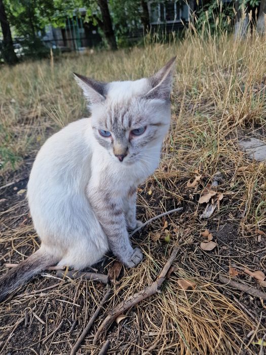 Замечательная девочка!