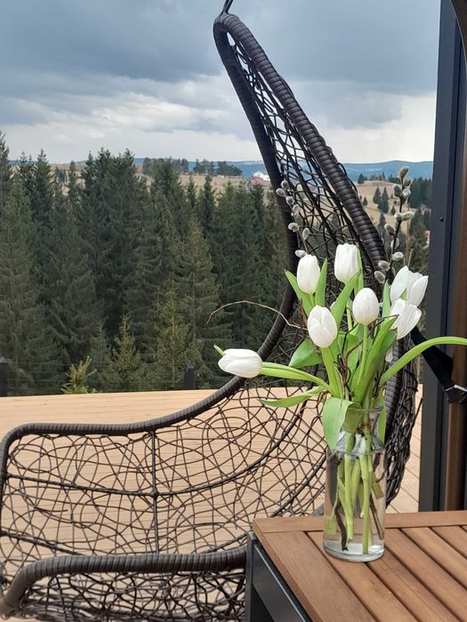 Natura Tiny House Marisel