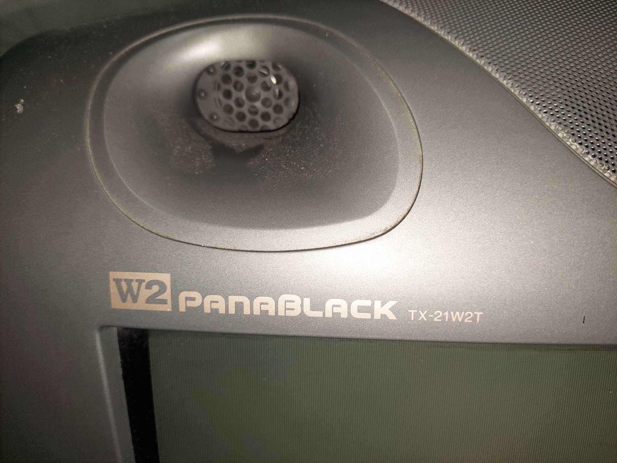 Panasonic TX - 21 - инча - Не работи