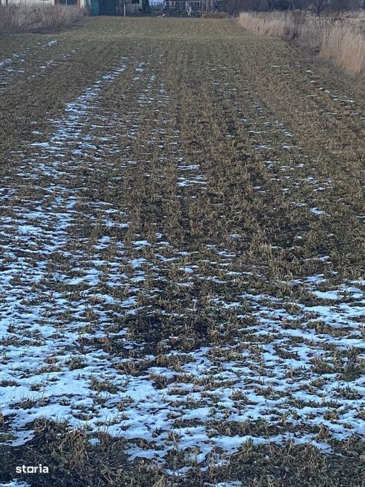 Teren intravilan 574 mp, Zona Gilau