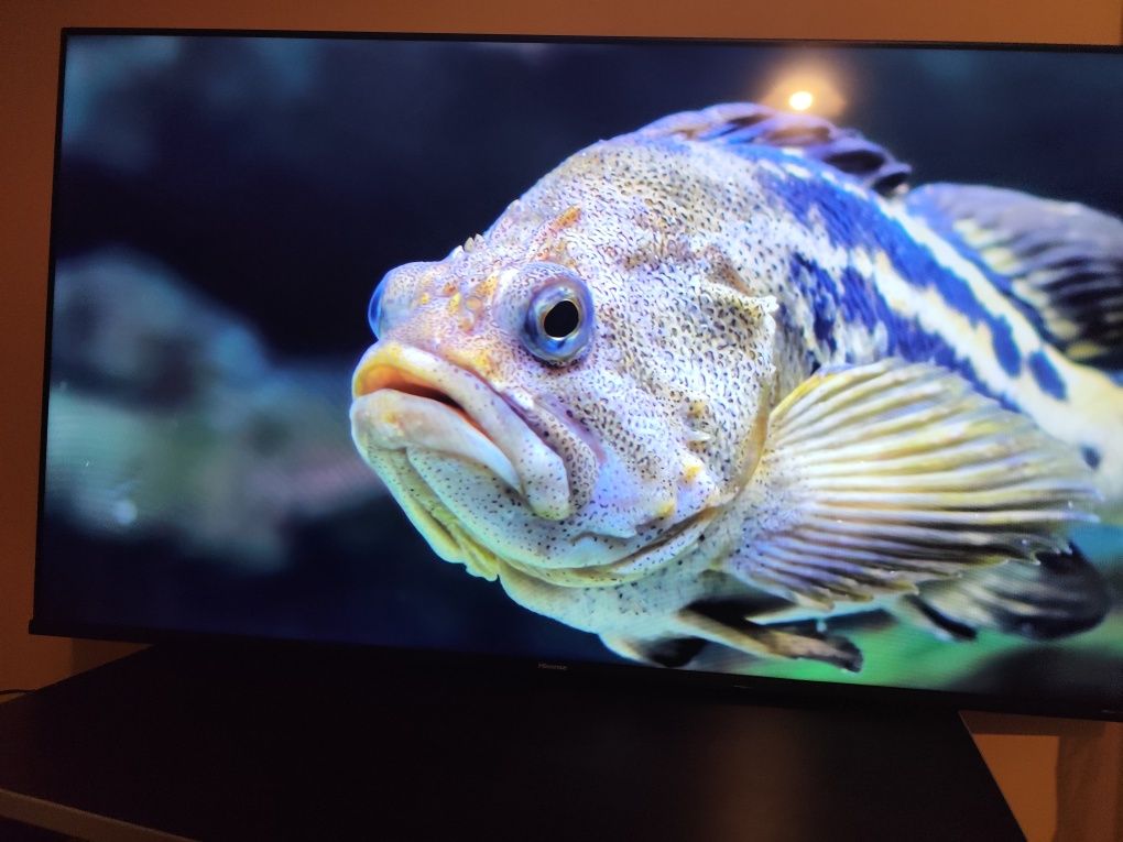 Телевизор HISENSE 50A6BG 4K Ultra HD LED SMART TV, VIDAA, 50.0 ", 127.