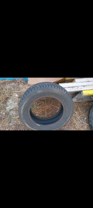 Шина зимняя 195/65 R 15