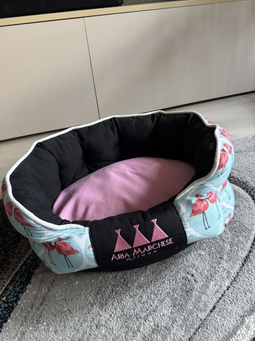 Patut caine sau pisica