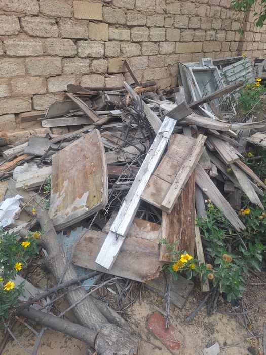 Отынға ағаштар..