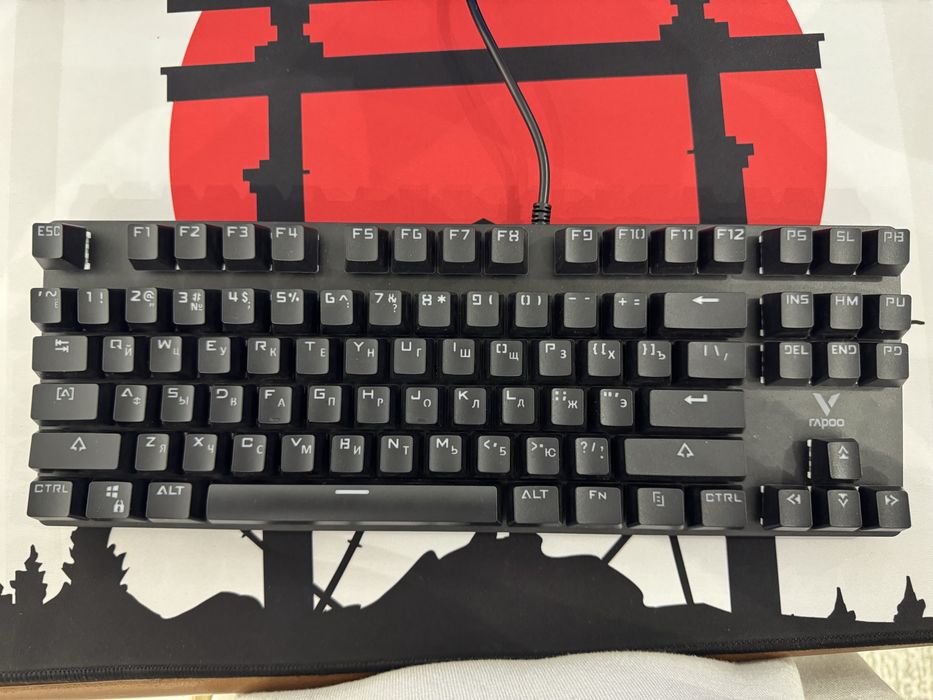 Rapoo v500 pro bor