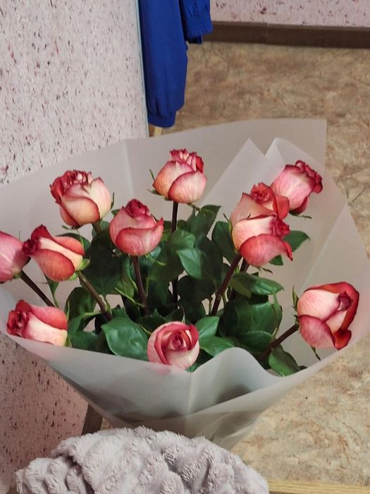 Розы метровые, цена договорная