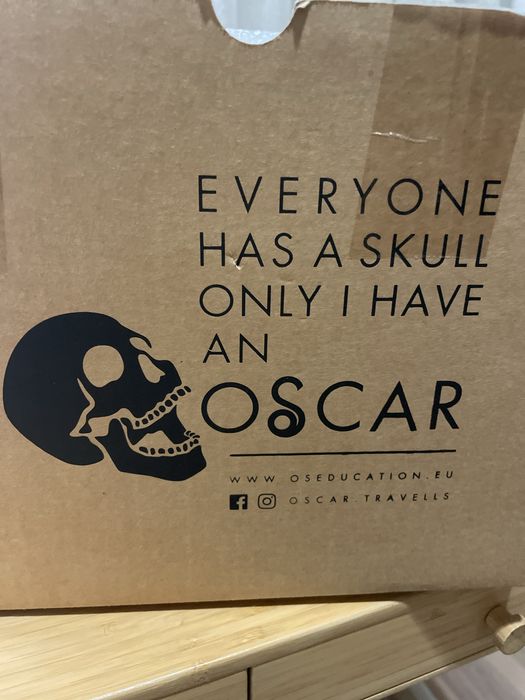 Анатомичен модел на череп, 3 части, OScar