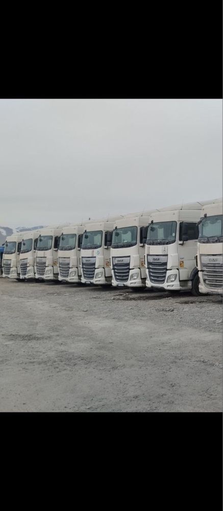 Tyagch DAF pritseplari bilan