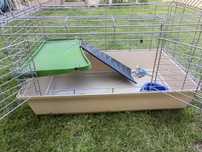 Cusca rozatoare,iepuri,veverita,hamster...