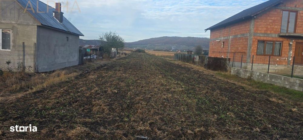 Teren intravilan de vanzare - Chintelnic, Jud. Bistrita-Nasaud