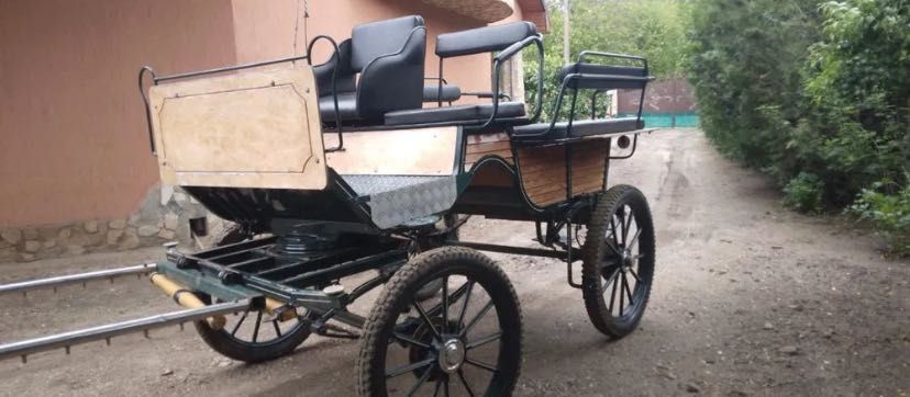 Vand trasura pentru 1 sau 2 cai