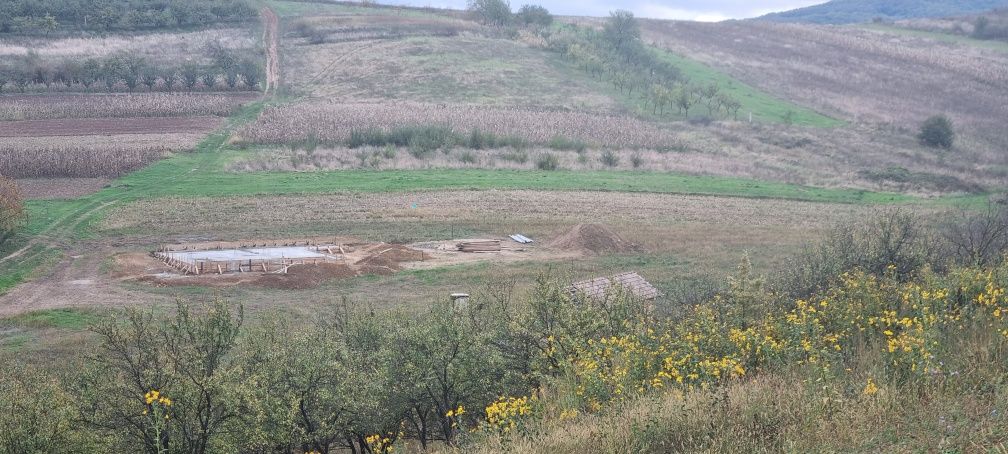 Vand teren intraviland gradina onu ortelec