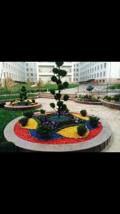 Gazon ekish optom narxlarda landshaft xizmati