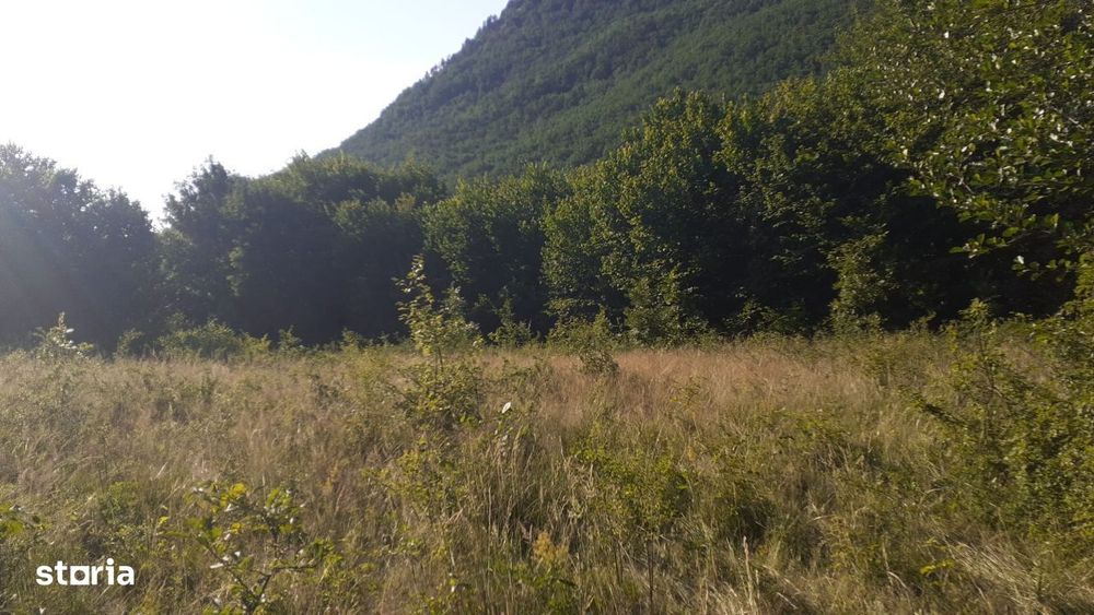 Roscani-Dobra-Teren Cabana-10km A1-Posibilitate Rate