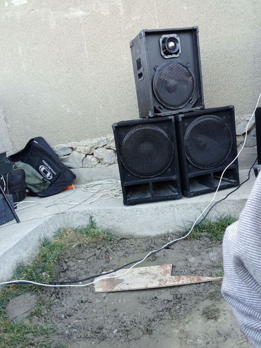 Kalokala sotiladi korpisibilan