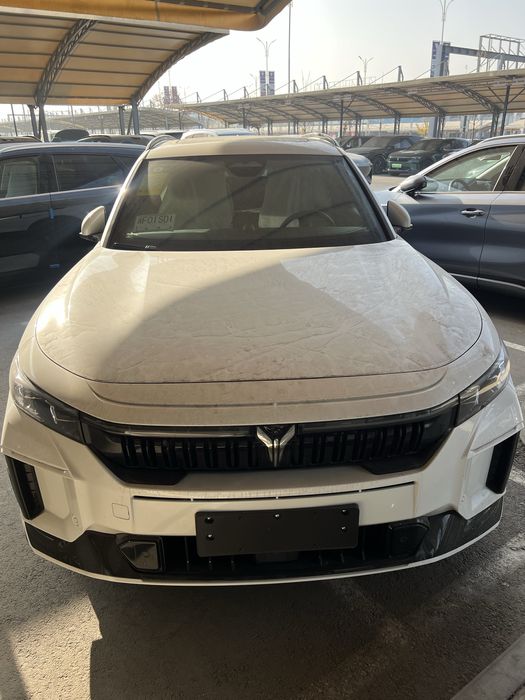 voyah free apollo tech