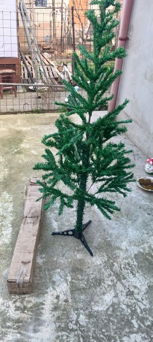 Vind brad de Crăciun