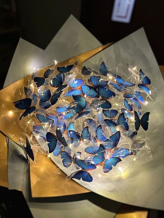 Buchete Cu Fluturi: Delicatețe și Culori În Vânt!