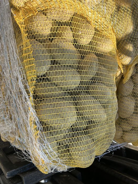 Cartofi consum alb si rosu