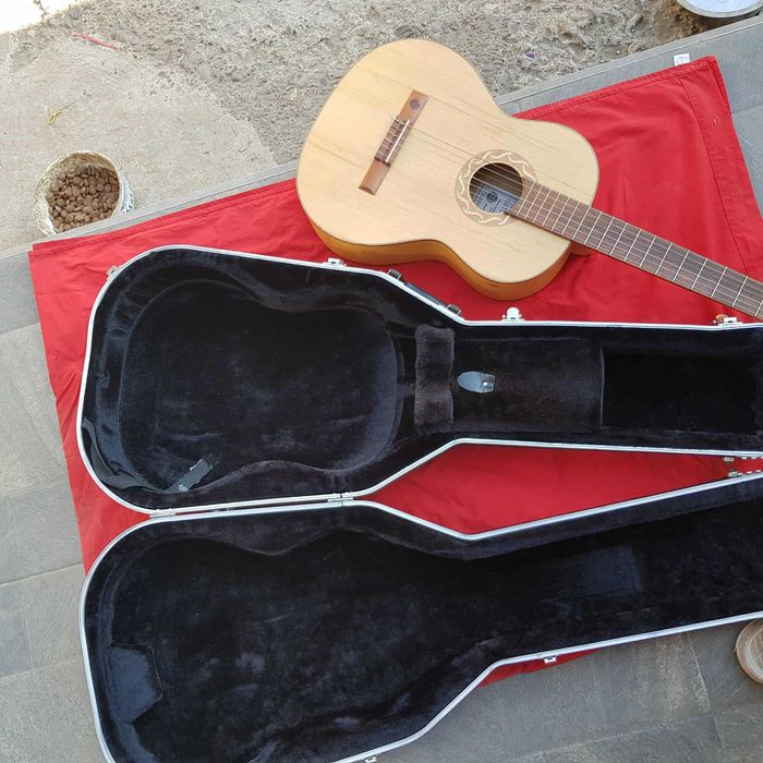 Chitara Pro Natura Silver 4/4 Maple
