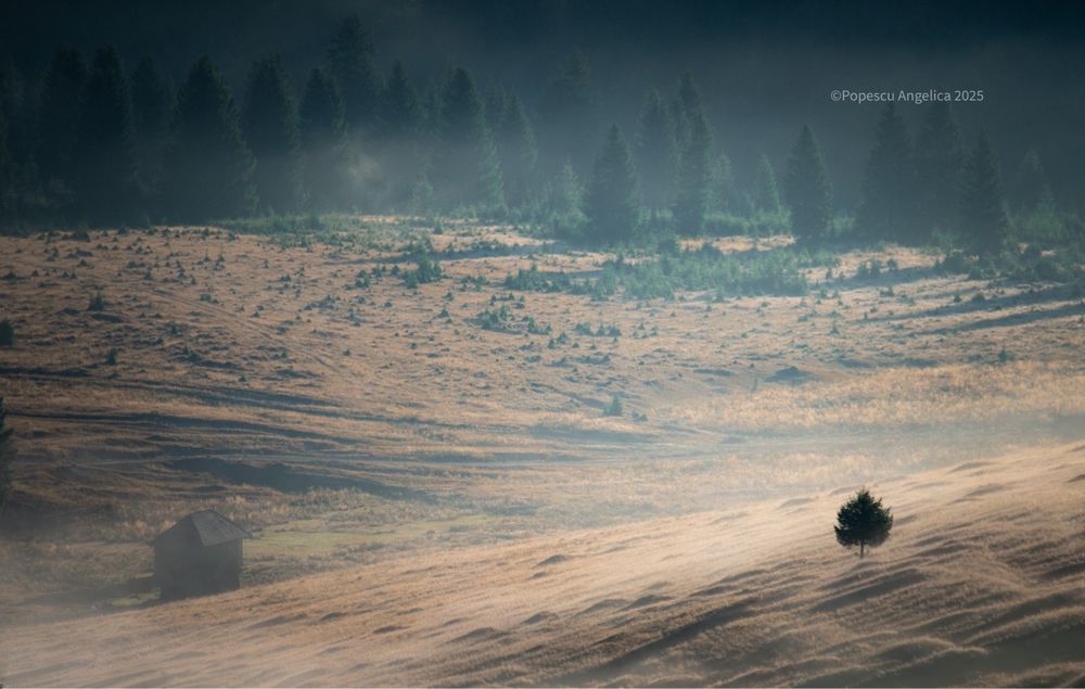 Ședințe foto – Portofoliu în dezvoltare | Preț accesibil și flexibil