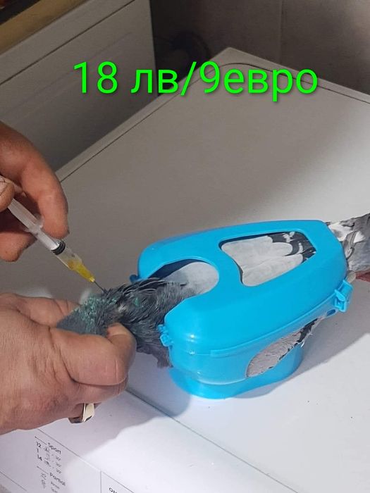 Аксесоари за гълъби,кокошки и други птици