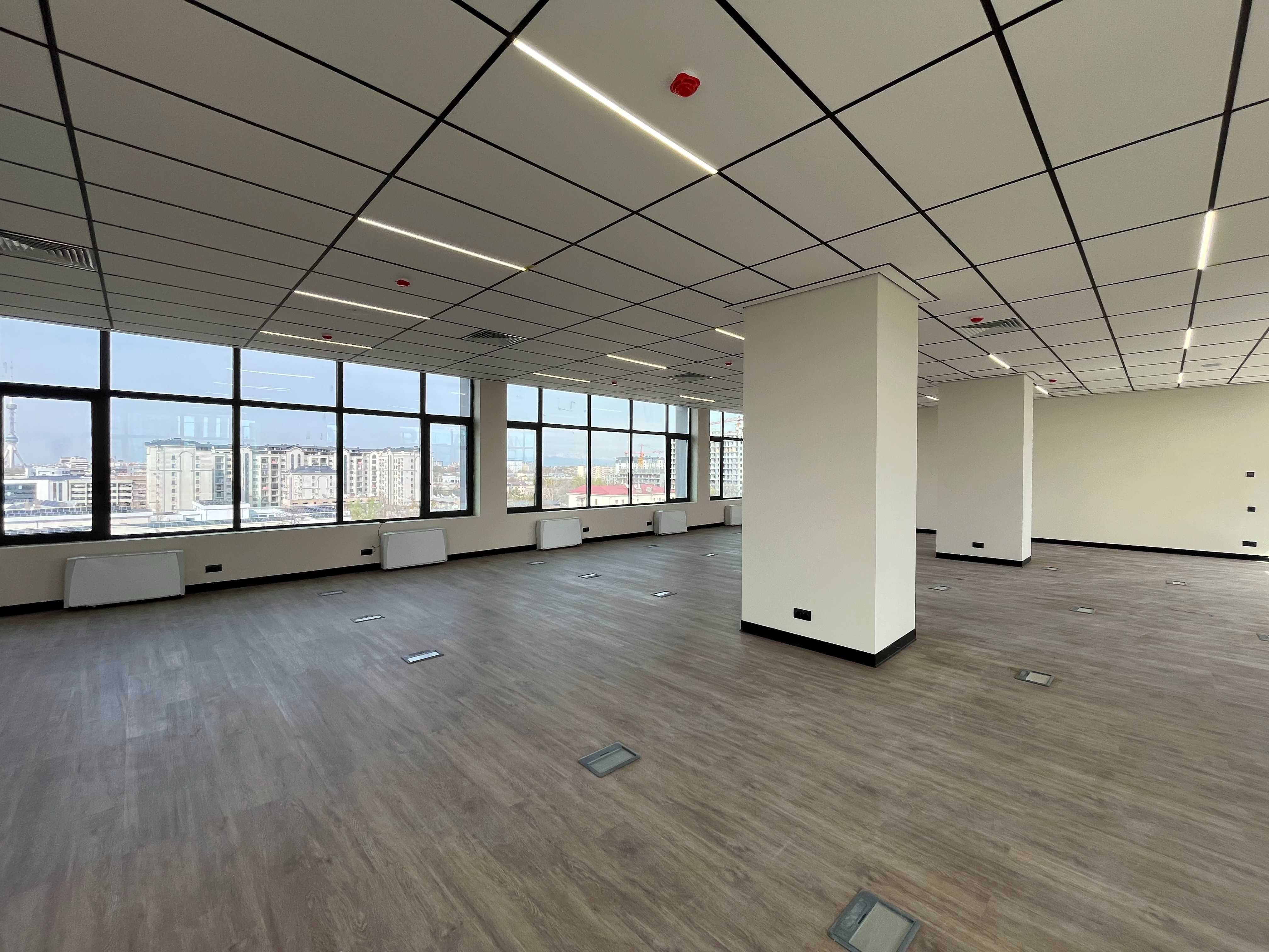 Аренда офиса с террасой на 8 этаже | БЦ Nova Plaza | 343 кв.м.