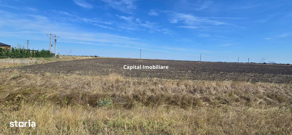 Teren extravilan cu potențial de dezvoltare - Becicherecu Mic